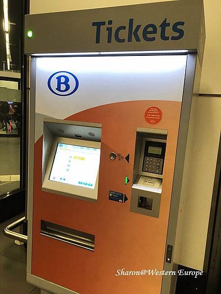 IMG_6296.jpeg IMG_6296.jpeg