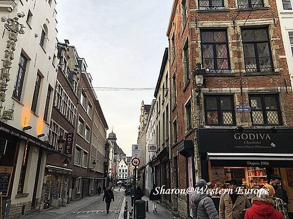 IMG_6313.jpeg IMG_6313.jpeg