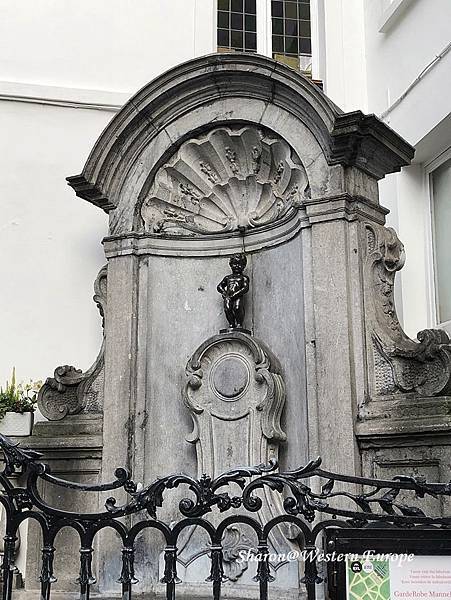 IMG_6302.jpeg IMG_6302.jpeg