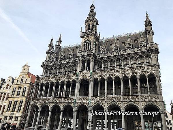 IMG_6337.jpeg IMG_6337.jpeg