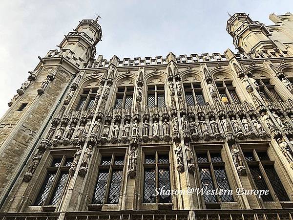 IMG_6326.jpeg IMG_6326.jpeg