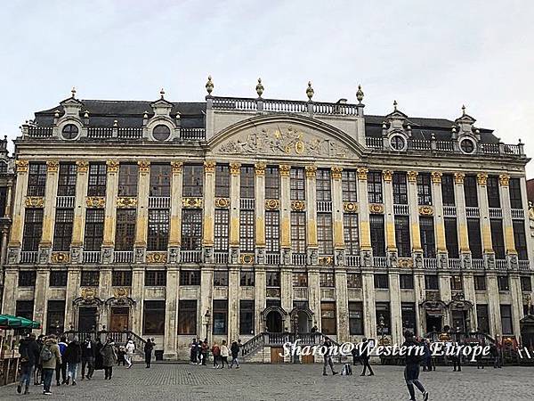 IMG_6343.jpeg IMG_6343.jpeg