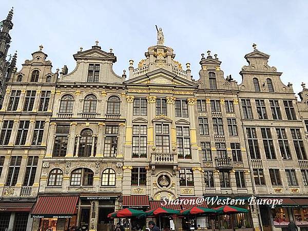 IMG_6345.jpeg IMG_6345.jpeg