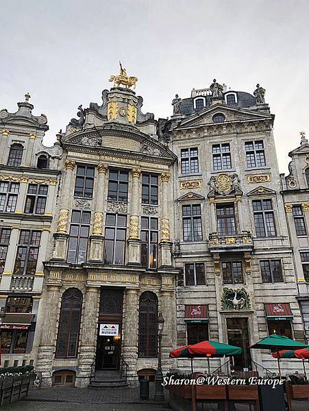 IMG_6346.jpeg IMG_6346.jpeg