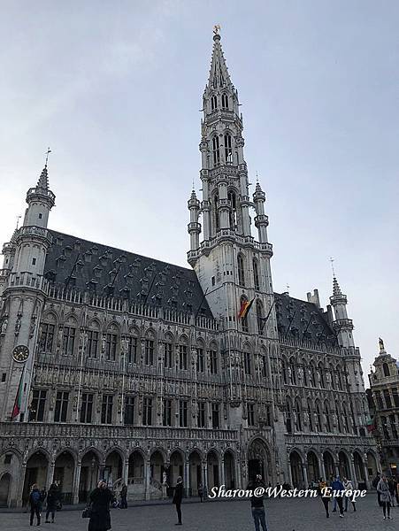 IMG_6350.jpeg IMG_6350.jpeg