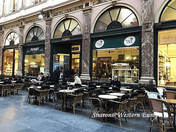 IMG_6373.jpeg IMG_6373.jpeg