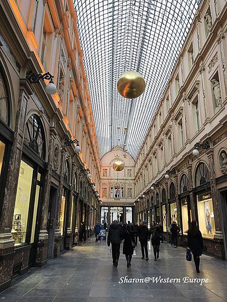 IMG_6371.jpeg IMG_6371.jpeg