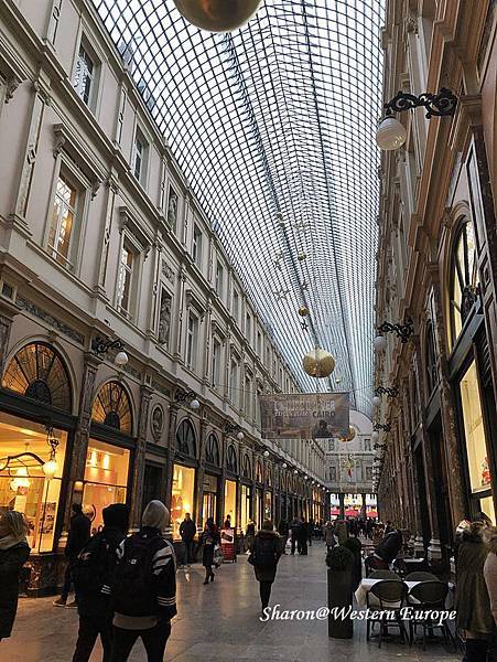 IMG_6377.jpeg IMG_6377.jpeg