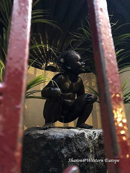 IMG_6396.jpeg IMG_6396.jpeg