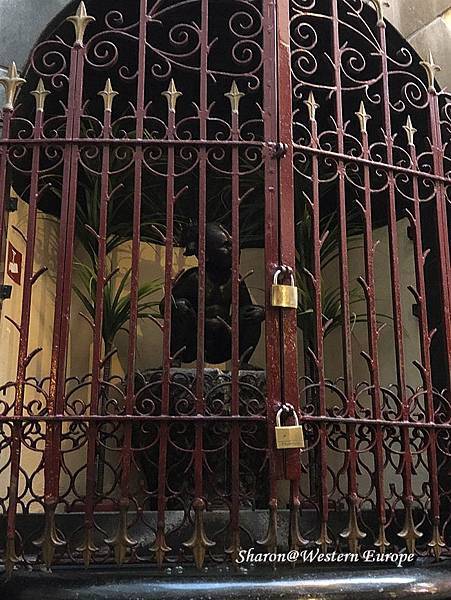 IMG_6397.jpeg IMG_6397.jpeg