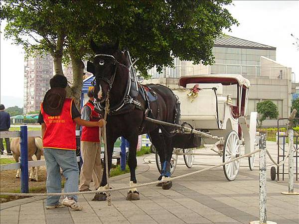 馬車ㄝ