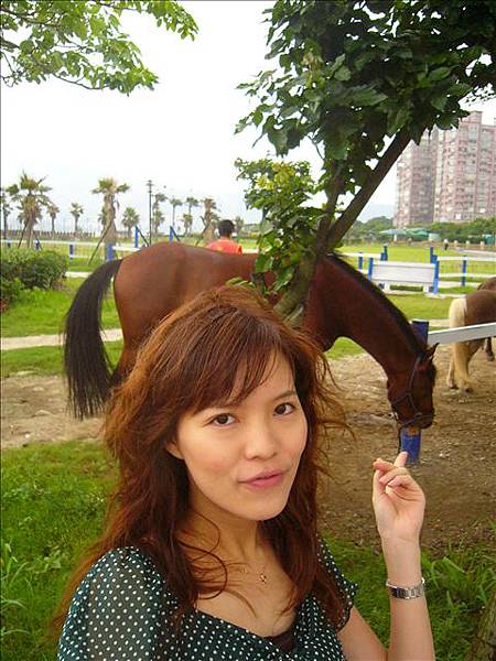 小馬小馬