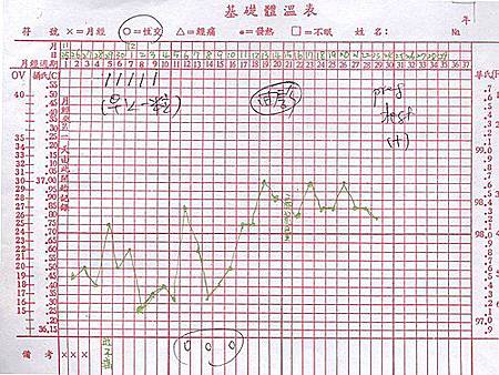 020-有排卵的基礎體溫表