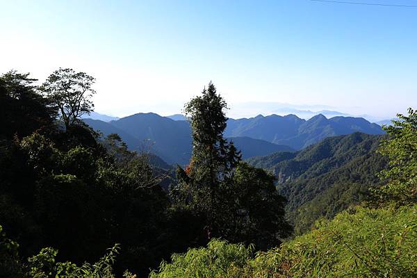 鳶嘴山 (8).JPG