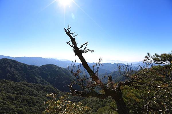 鳶嘴山 (35).JPG