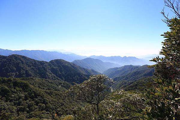 鳶嘴山 (40).JPG