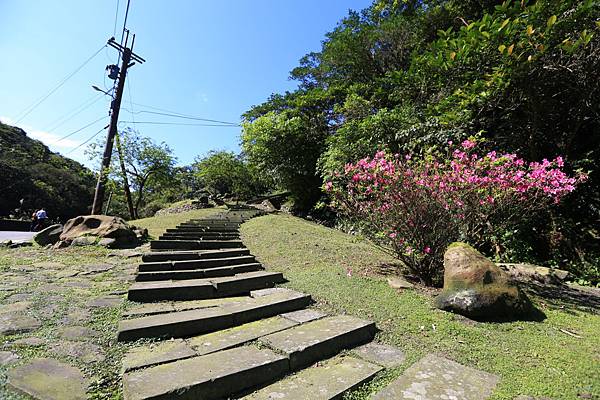 草嶺古道 (3).JPG