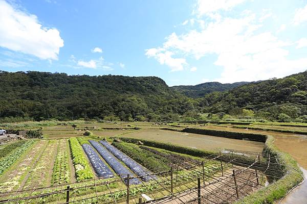 草嶺古道 (22).JPG