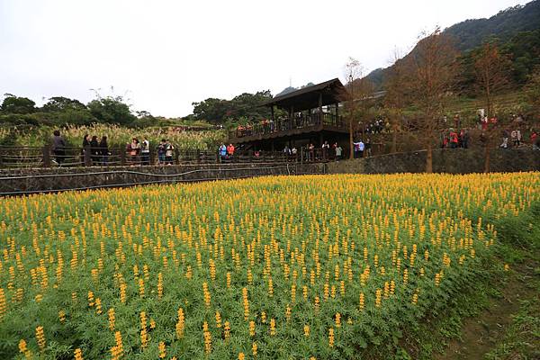 木柵動物園 (1).JPG