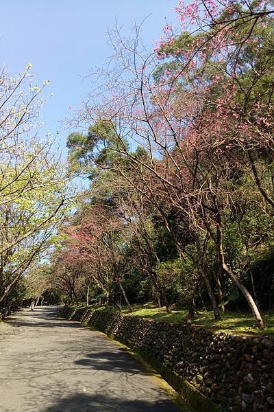 仁山植物園 (5).jpg