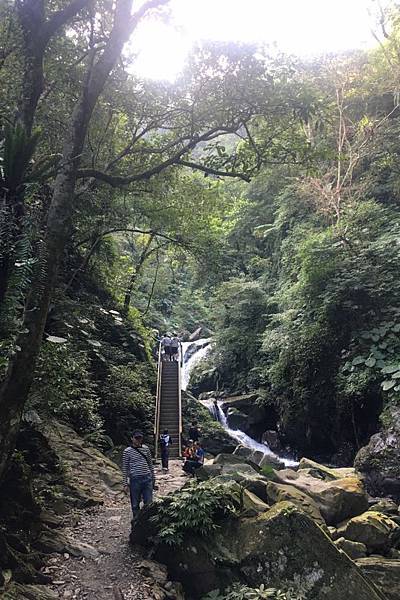 仁山植物園 (9).jpg