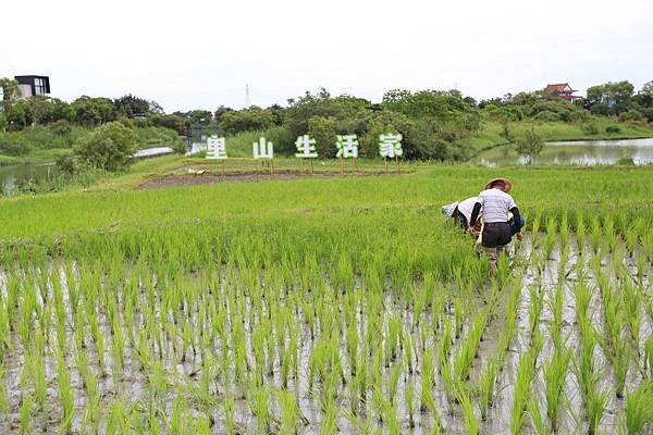 冬山綠博 (12).JPG