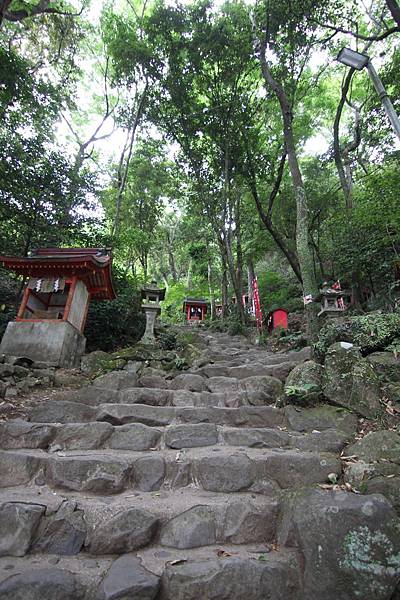 祐德稻荷神社 (32).JPG