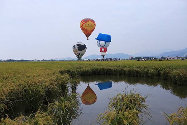 三奇伯朗大道 (15).JPG