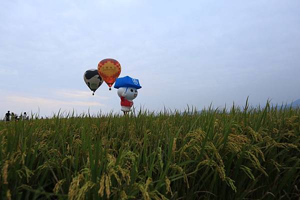 三奇伯朗大道 (14).JPG