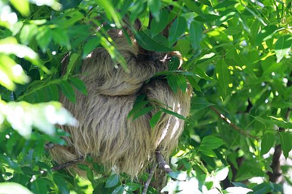 木柵動物園 (9).JPG