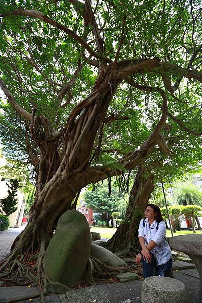 台北科技大學 (1).JPG