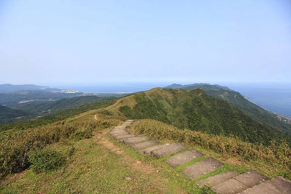 灣坑頭山 (48).JPG