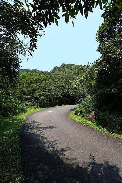 灣坑頭山 (8).JPG