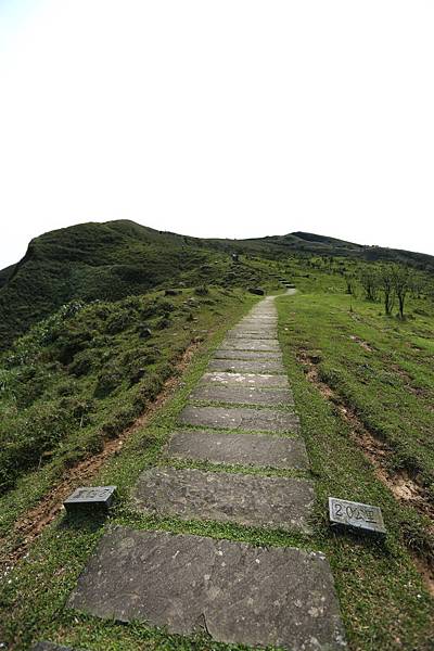 灣坑頭山 (45).JPG