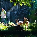 台北市立動物園 (10).JPG