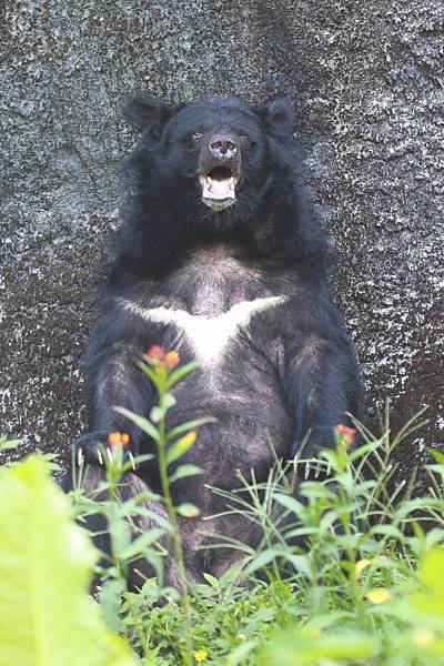 台北市立動物園 (17).JPG