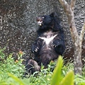 台北市立動物園 (16).JPG