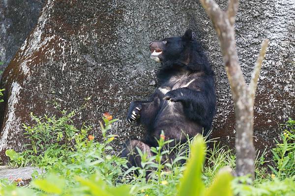 台北市立動物園 (15).JPG