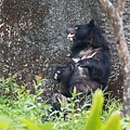 台北市立動物園 (15).JPG