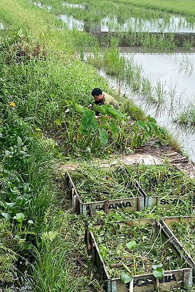 宜蘭田園趣 - 菜圃 16股-工具置放架