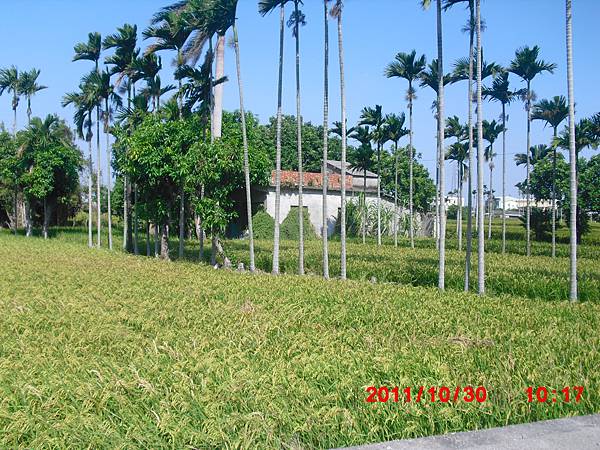 CIMG0050.JPG