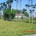 CIMG0050.JPG