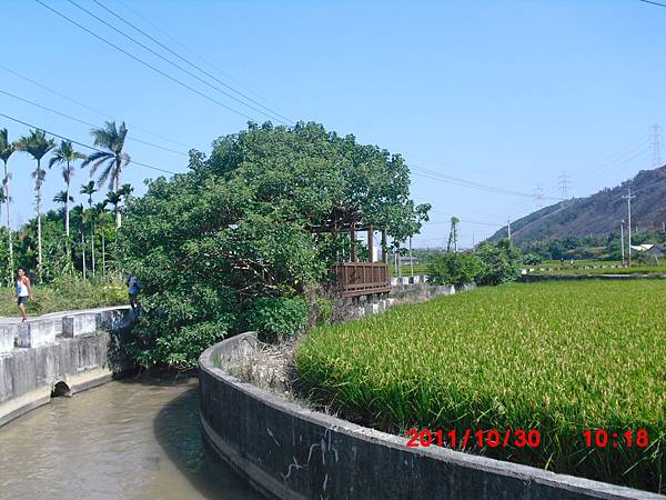 CIMG0052.JPG
