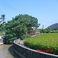 CIMG0052.JPG