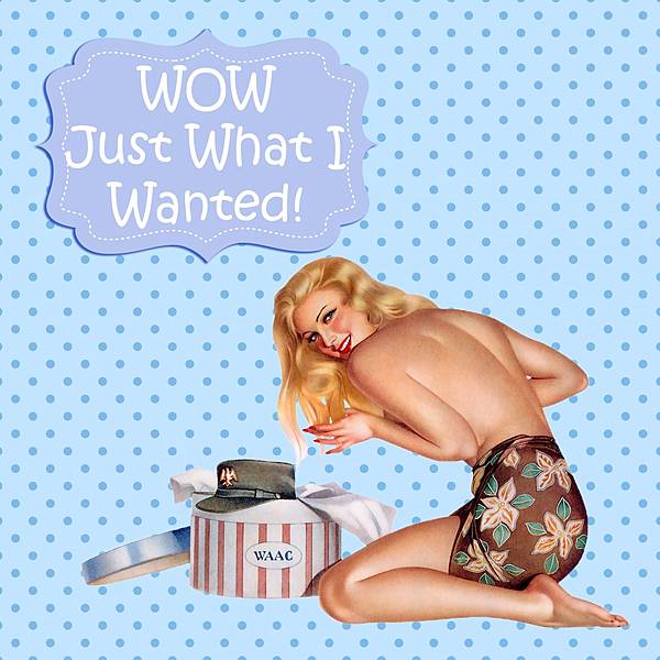 pin-up-girl-1950s.jpg pin-up-girl-1950s.jpg