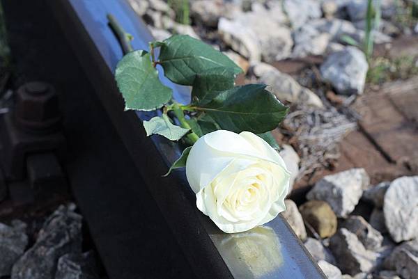 stop-child-suicide-2253160_1920.jpg stop-child-suicide-2253160_1920.jpg