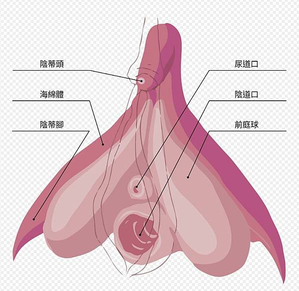 擷取.JPG 擷取.JPG