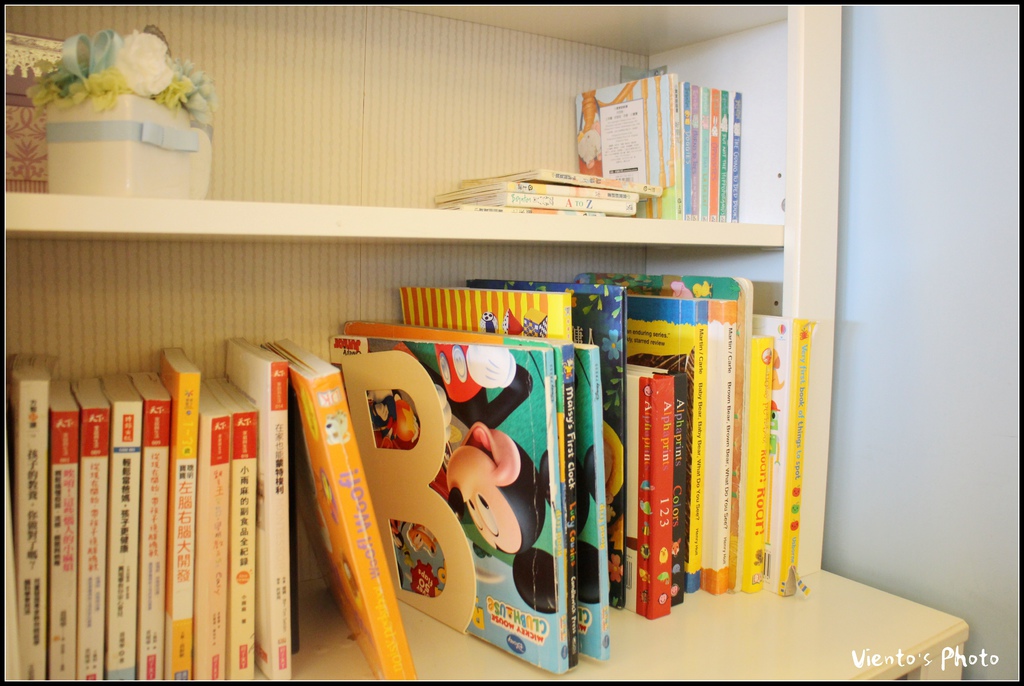 海豚21.jpg 海豚21.jpg