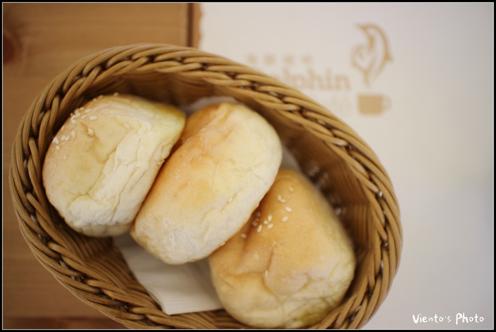 海豚39.jpg 海豚39.jpg