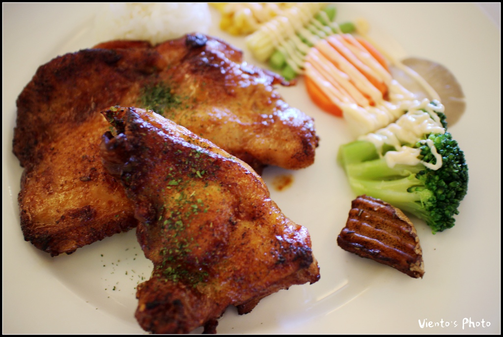 海豚40.jpg 海豚40.jpg